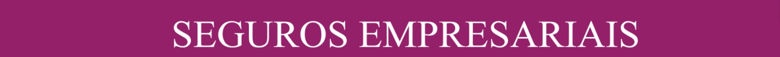 SEGUROS EMPRESARIAIS